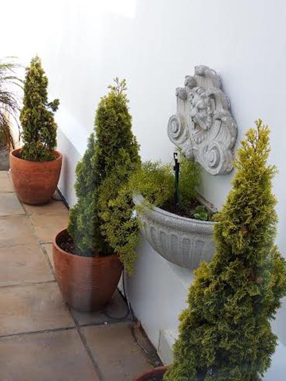Belvedere Cottages พอร์ตเอลิซาเบธ ภายนอก รูปภาพ